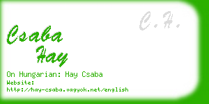 csaba hay business card